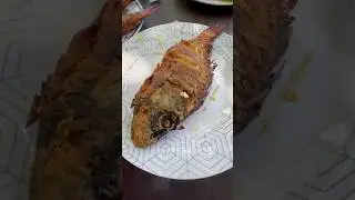Pescado Frito Dominicano🇩🇴 #pescadofrito #travel #republicadominicana