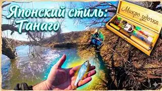 The most MICRO fishing in the world! 🎣 Tanago: The art of catching small fish. Tanago Fishing