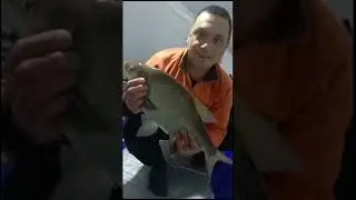 Лещ полторашка #icefishing #лещнакоромысло #ловлялеща