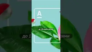 🔥 Как путешествовать с выгодой #viral #банк #рекомендации #финансы #fyp