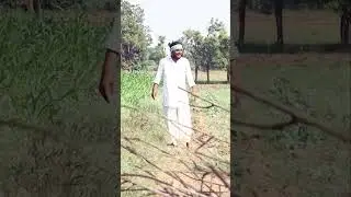 વાઘુભા એ ચુંટણીમાં લીધો ભાગ 