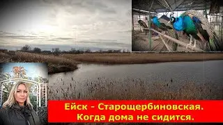 Ейск - Старощербиновская. Когда дома не сидится.