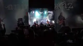 Концерт Animal Jazz в MILO CONCERT HALL 2023