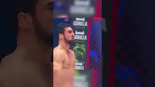 Нокаут в полёте ✈️👊
