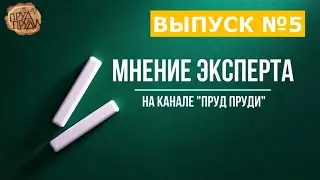 ✅Растения в биоплато ✅Ультразвук и Омеднитель✅Мнение эксперта✅Ответы на популярные вопросы
