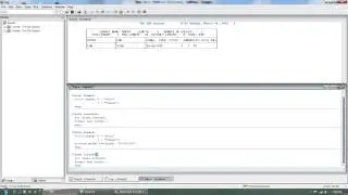 SAS Proc Format