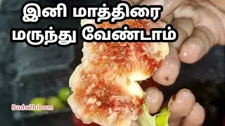 இரத்தம் உடனே அதிகரிக்க இந்த மேஜிக் Drink மட்டுமே போதும்