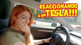 My friends reacting to the Tesla - driving it for the first time
