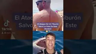 El Ataque De Un Tiburón Salvó La Vida De Este Hombre 