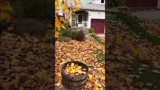 Jackson Point, i colori del magico autunno canadese.