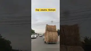Бичен ташыу