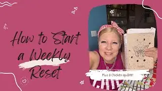 How to Start a Weekly Reset Routine - Plus a Chicken Update