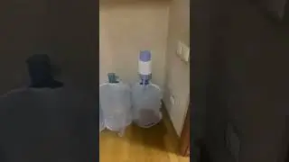3 апреля 2024 г.