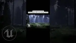 pcg forest path environment in unreal engine 5! 