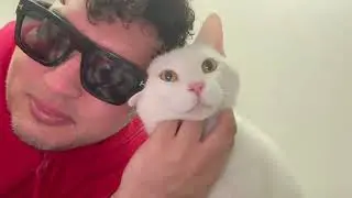 MY CAT PASSED AWAY