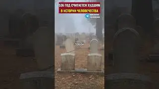 Этот год считается худшим в истории человечества