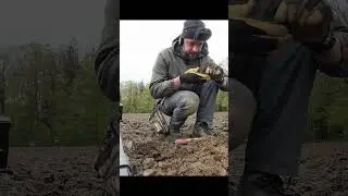 SILBER aus BAYERN #sondeln  #metaldetecting #lechsonde