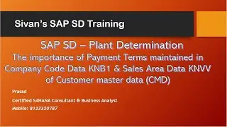Plant Determination in ECC/S4HANA CMIR CMD MMD | Sivan's SAP SD Training
