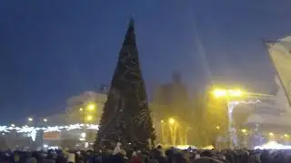 В Донецке зажгли главную рождественскую елку