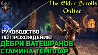 Прохождение Дебрей Ватешранов за СтамДД / Гайды Elder Scrolls Online