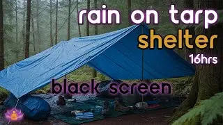 [Black Screen] Rain on Tarp Shelter No Thunder | Rain Ambience | Rain Sounds for Sleeping
