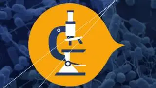 PENGUMUMAN FINALIS HASANUDDIN SCIENTIFIC FAIR 2016