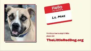 Lil Mike 083124