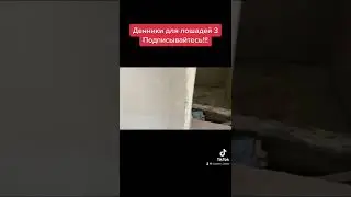 7 сентября 2022 г.