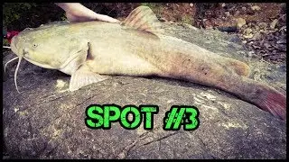 What I look for in bank spots for Catfishing (Spot 3)
