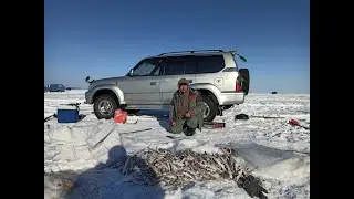Лазарев, февраль 2020