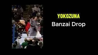 SQUASH Finisher - Who Did It Best?