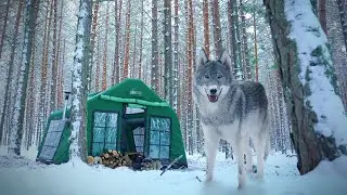 HOT TENT CAMP WITH KURT BÖRÜ AND STOVE IN THE DEPTHS OF THE UNTOUCHED SNOWY FOREST
