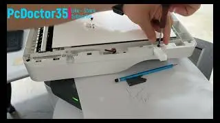 HP 137 Printer Scanner Paper Jam Solution