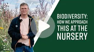 Biodiversity: How We Approach This at the Nursery