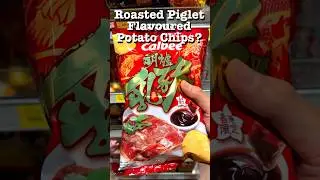 Roasted Piglet Flavoured Potato Chip? #travel #food #chips