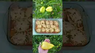 Таом аз дастони ҷон💕очаҷон 💕