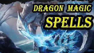 My Wizard Is Gonna Learn All These... | Fizban's Treasury of Dragons D&D 5e