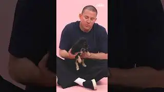 Channing Tatum and Zoë Kravitz Puppy Interview is out NOW! #ZoeKravitz #ChanningTatum