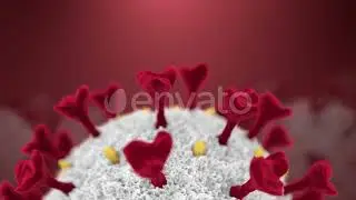 COVID - 19 Novel Coronavirus Background - 4 Clips