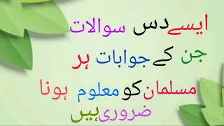 Islamic Questions Answers - Islamic Paheliyan /  Islamic GK In Urdu / Islami Sawal Jawab/ urdu quiz.