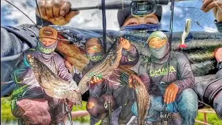 Casting Ikan Tapah || Sg. Kulak Karap