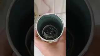 Where to hide your money 