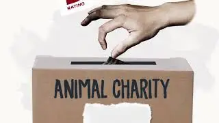 The Humane Society of the United States Gets a “D”