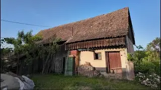 Cum sa scap de Cartitele din Gradina Casei Sasesti ? Am incercat vreo doua metode