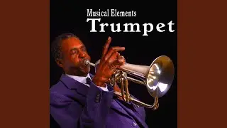 Pop Goes the Weasel Played on a Trumpet 2