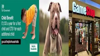 Inability to claim child benefits, capture of an XL bully ringleader and the rise in Gamestop