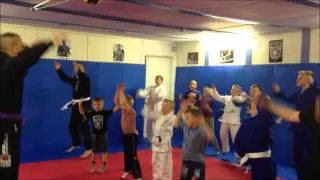 FEROCITY MMA TEAM-BJJ KIDS CLASSES