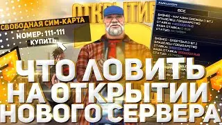 🔥 ОТКРЫТИЕ 12 СЕРВЕРА РАДМИР РП 🔥 ЛОВИМ СИМКУ И ДОНАТИМ НА ДОМ🔥 RADMIR RP!