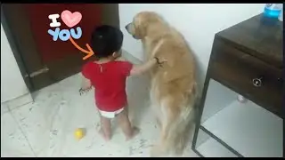 Awww  Poor Doggy -Part 2