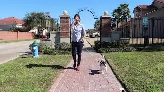 Houston Real Estate Agent Christina Quach At Your Service!